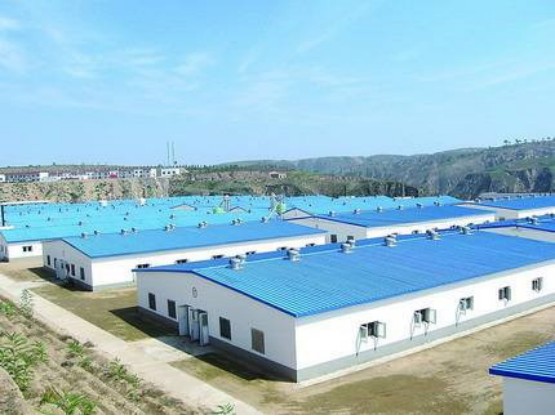 畜牧业专用板.png 畜牧业专用板.png