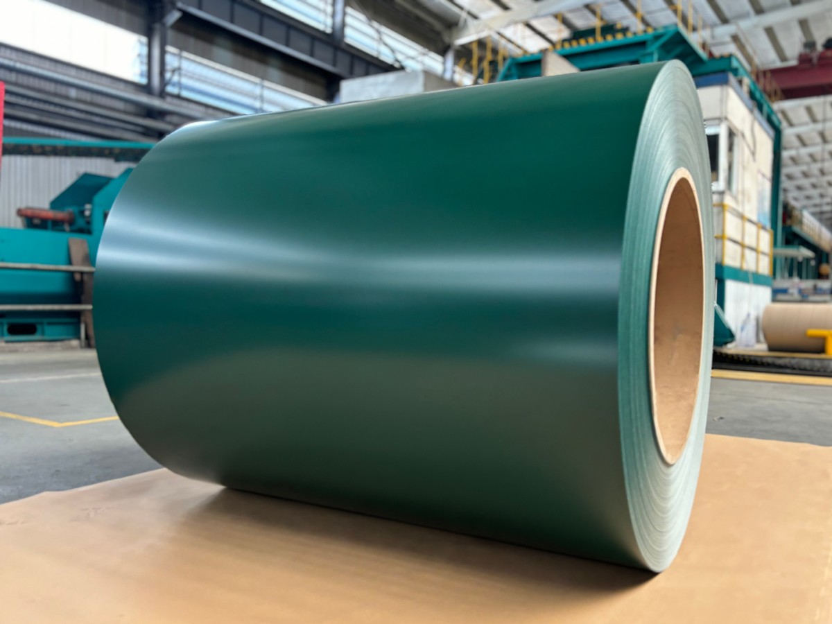 IMG_2756.HEIC.png IMG_2756.HEIC.png