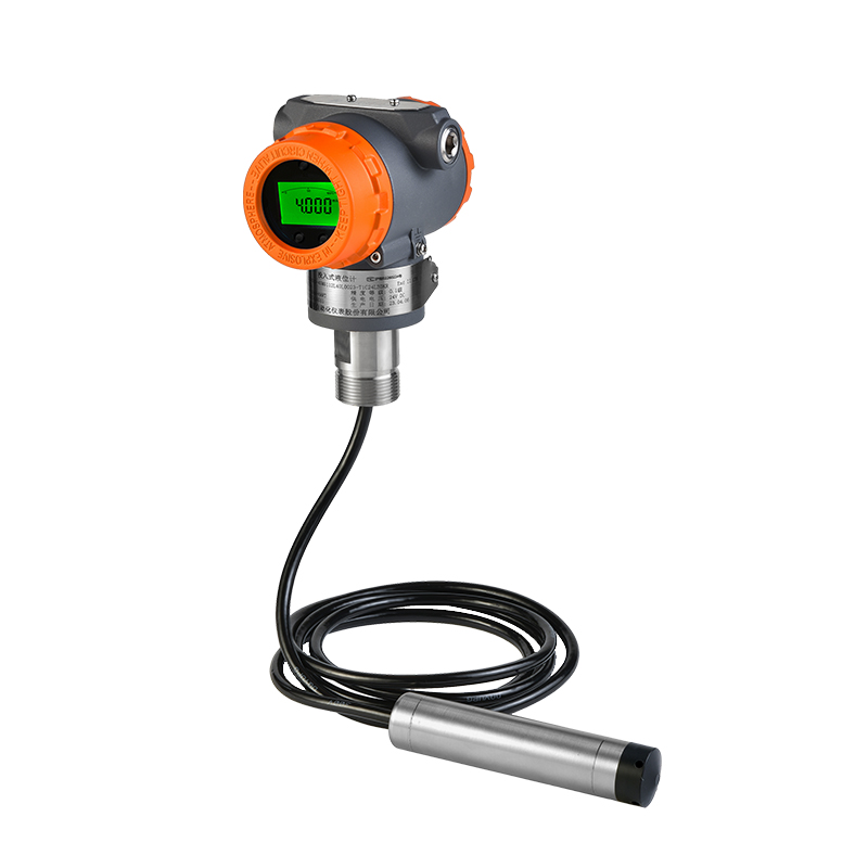 EB200AD投入式液位变送器