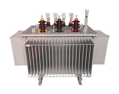 10kV級(jí)油浸式電力變壓器