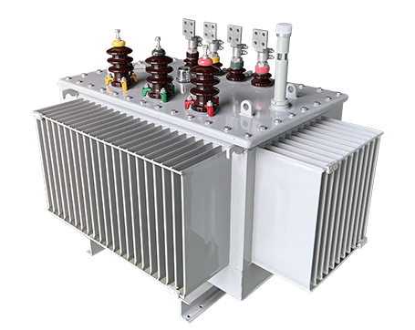 10kV級油浸式電力變壓器