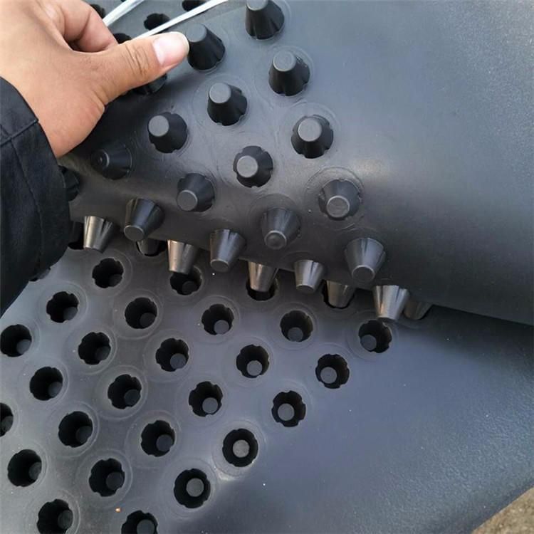 塑料排水板