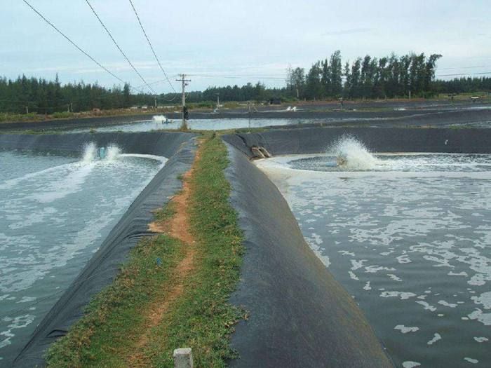 鱼塘养殖防渗土工膜