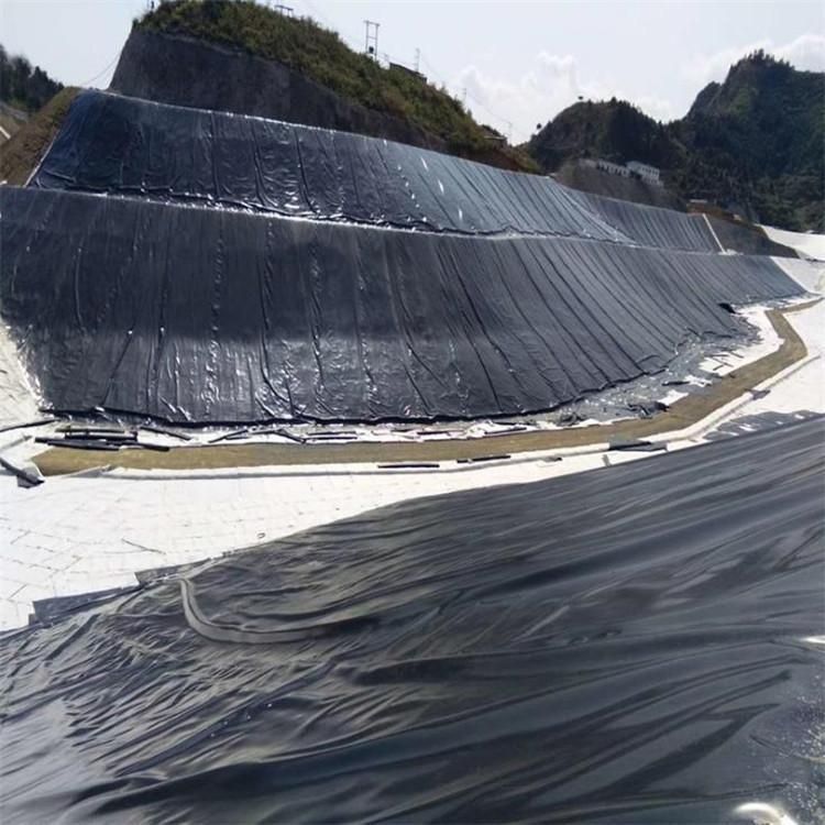 土工膜.jpg