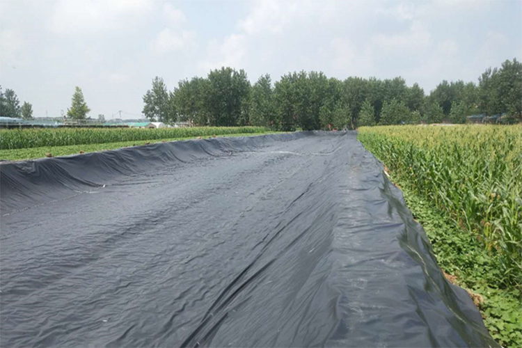 HDPE土工膜在水利、景观及环保等工程中应用广泛