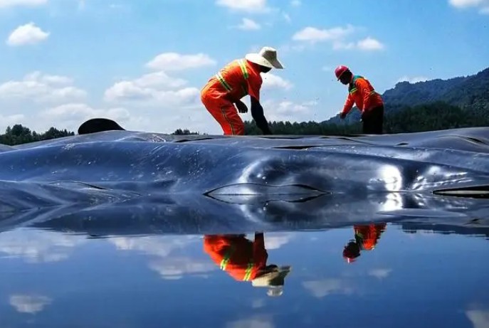 HDPE土工膜.png HDPE土工膜.png