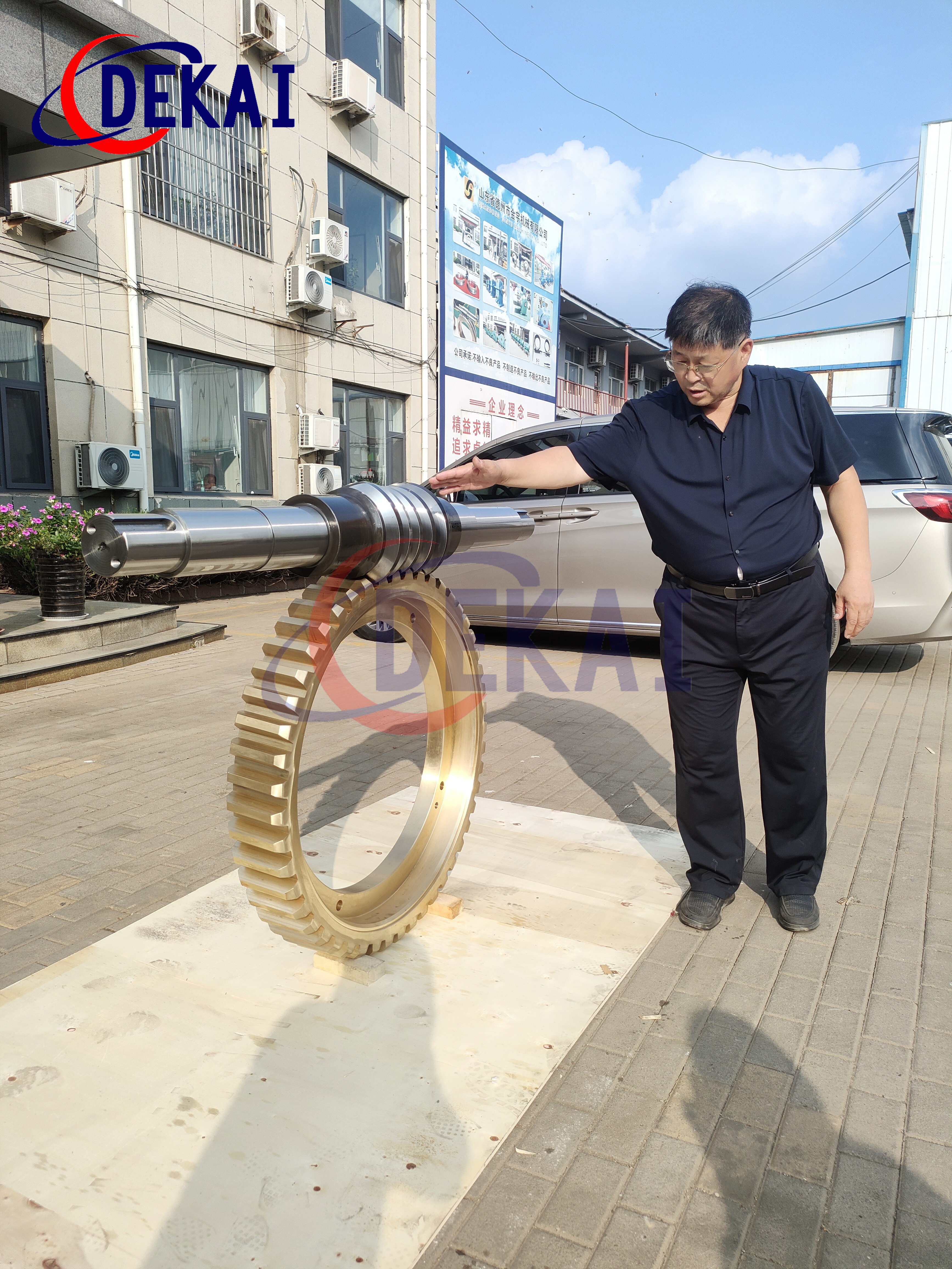 替代進(jìn)口環(huán)面蝸桿直齒蝸輪