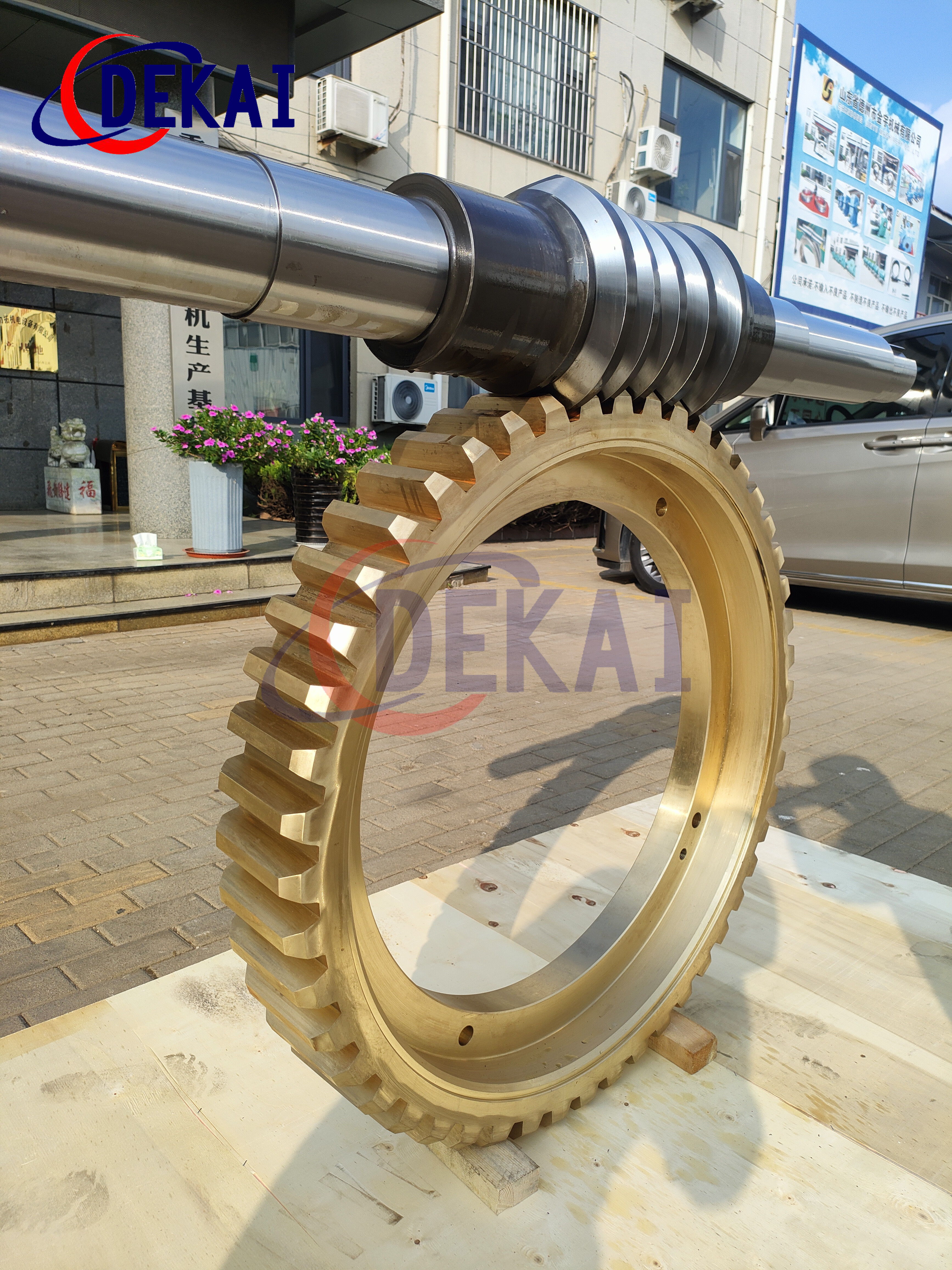 替代進(jìn)口環(huán)面蝸桿直齒蝸輪