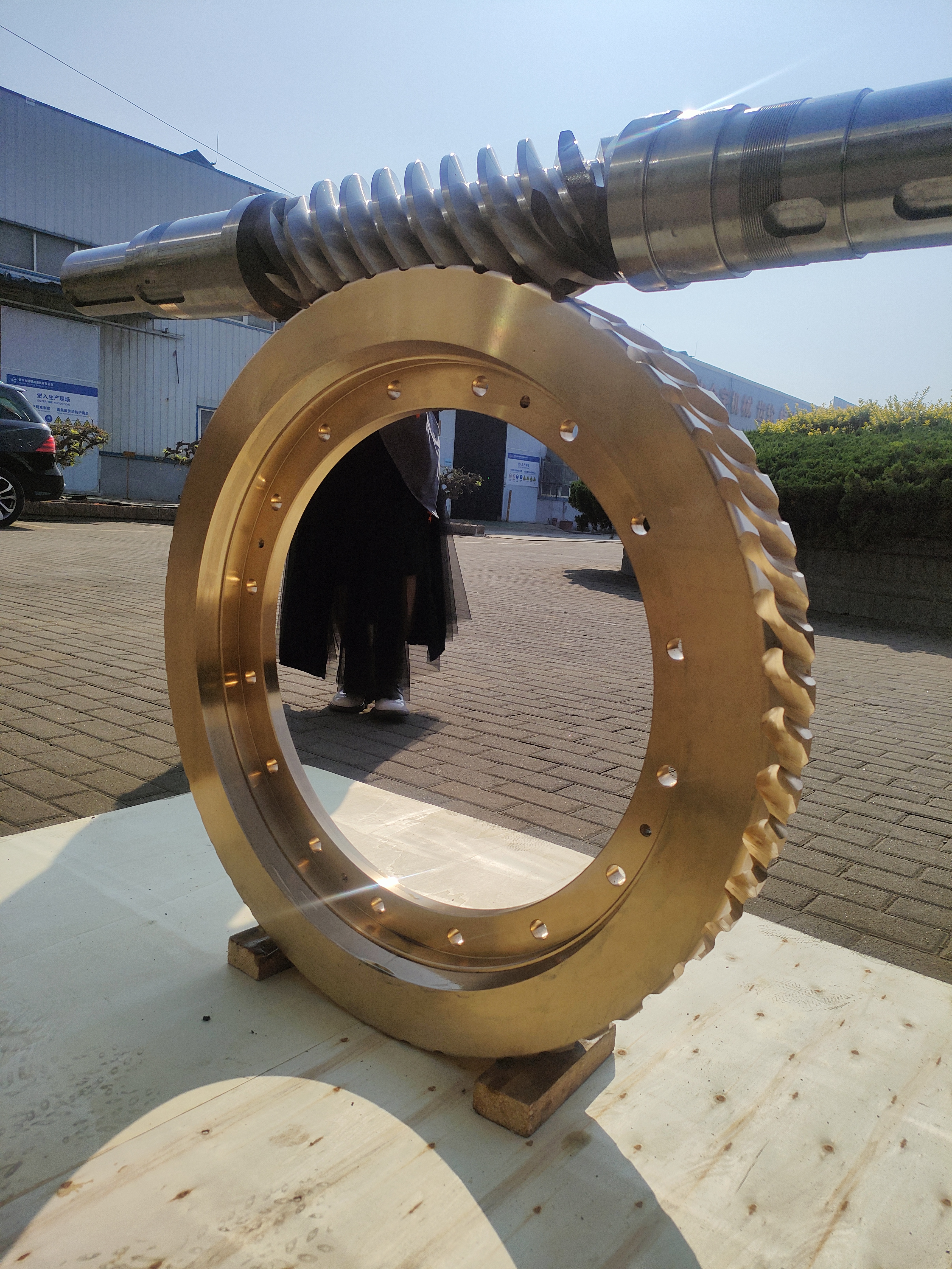 俄羅斯客戶非標訂制多頭蝸輪蝸桿副