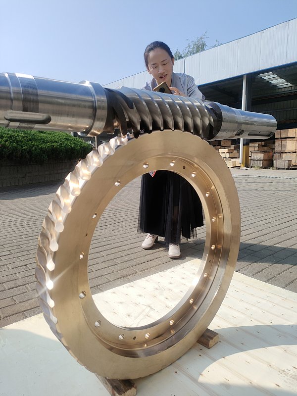 俄罗斯客户非标订制多头蜗轮蜗杆副