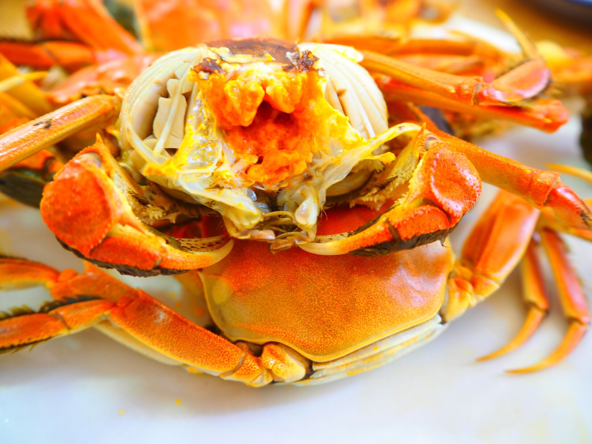 七里海河蟹营养价值高 深受大家喜爱