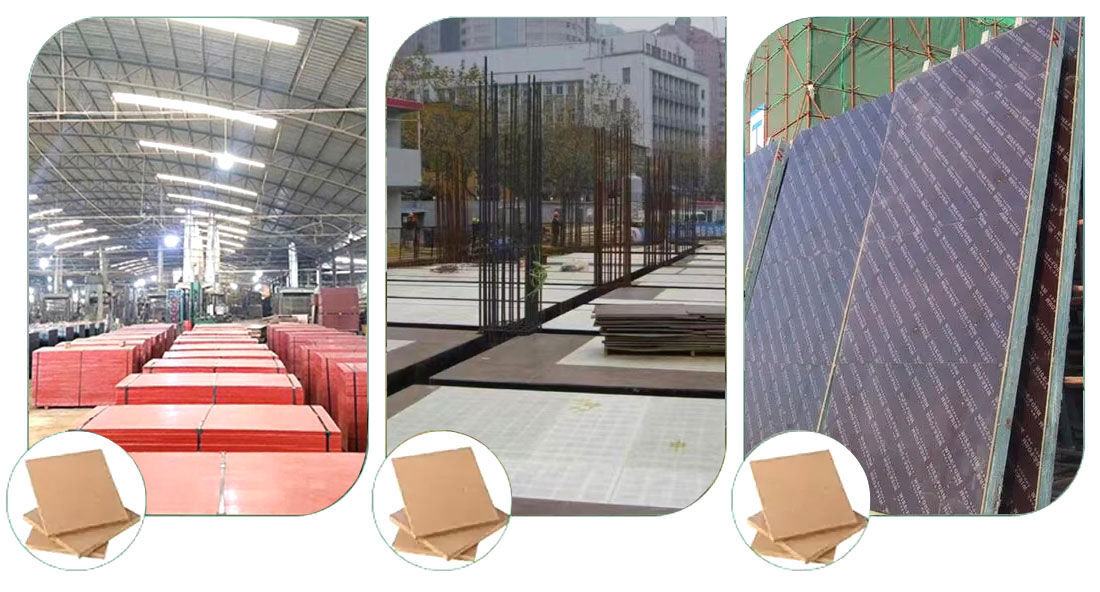 未标题-2.jpg 未标题-2.jpg