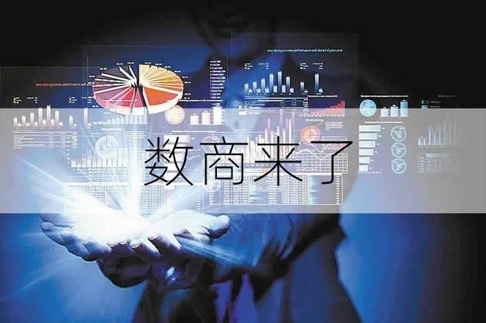 第三种全新行业生态数商 新蓝海创业赛道 第三种全新行业生态数商 新蓝海创业赛道