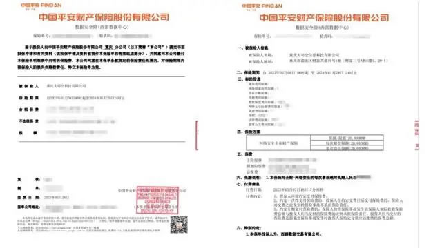 什么是数据安全险 什么是数据安全险