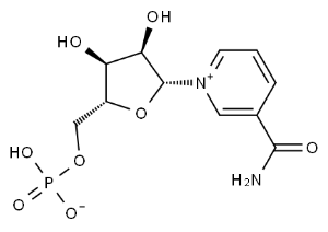 β-Nicotinamde Mononucleotde