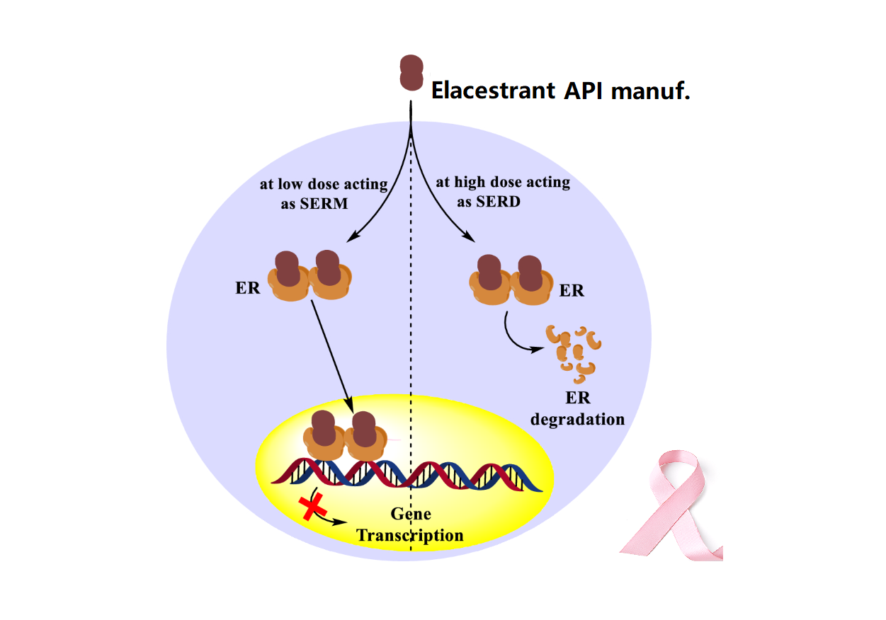 Elacestrant dihydrochloride
