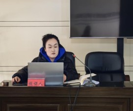 image.png 1739412142748482535900200960.png