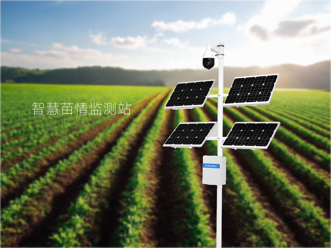 苗情监测2.jpg