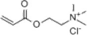 丙烯酰氧乙基三甲基氯化铵.png