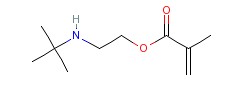 甲基丙烯酸叔丁氨基乙酯.png