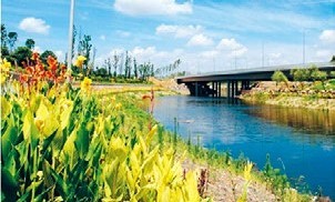 672d65d5fce04b43aa9d919d0a8d92b5_16.jpg 672d65d5fce04b43aa9d919d0a8d92b5_16.jpg