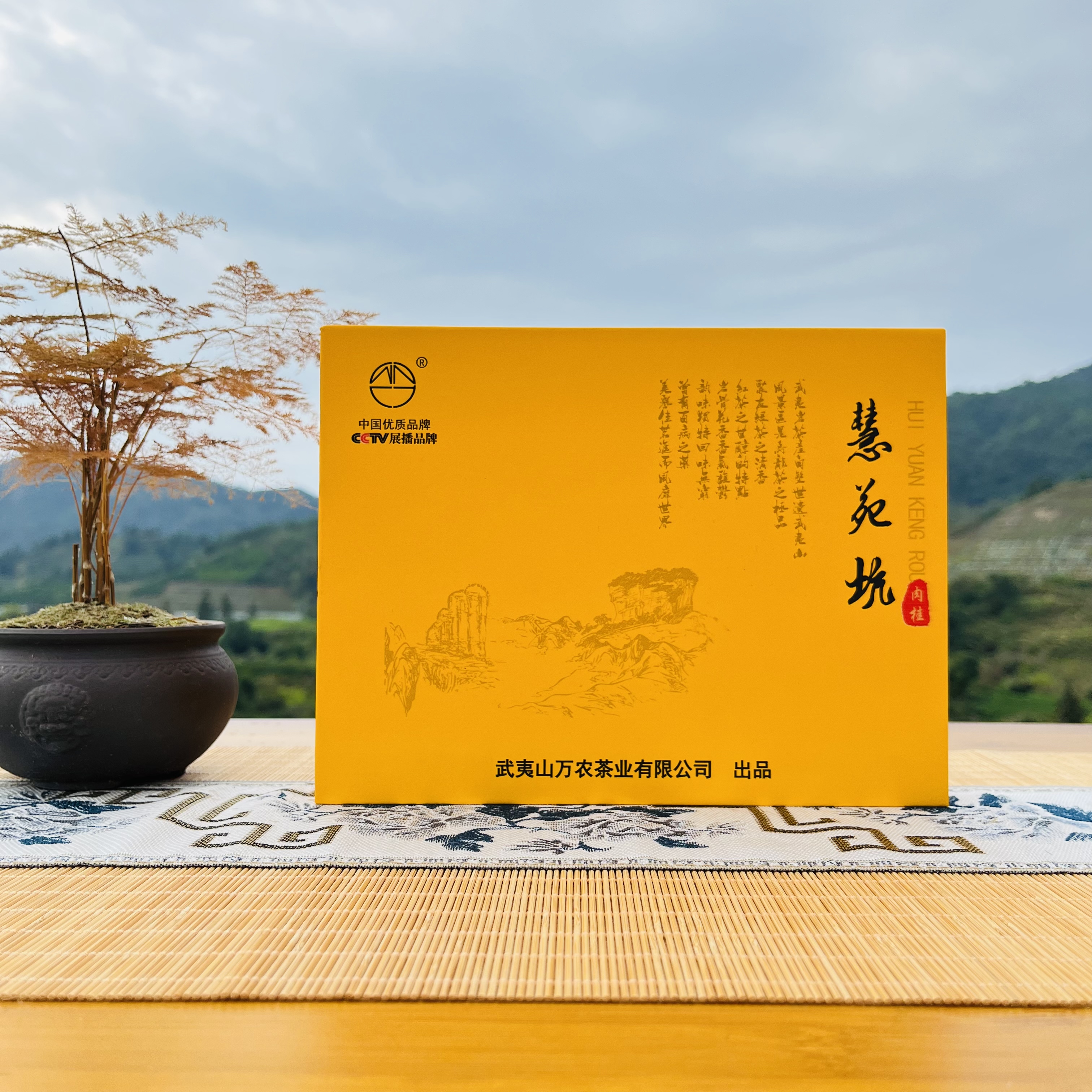 慧苑坑肉桂