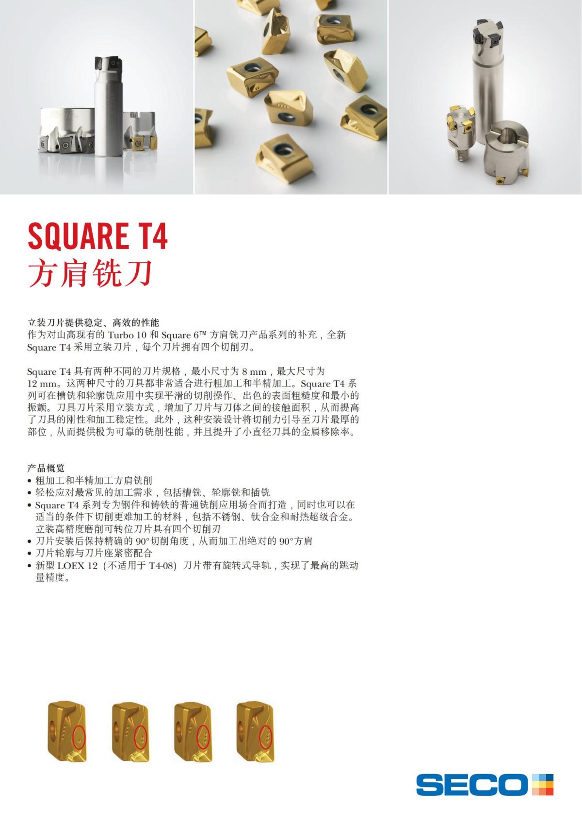 Square T4  (1)_01.jpg