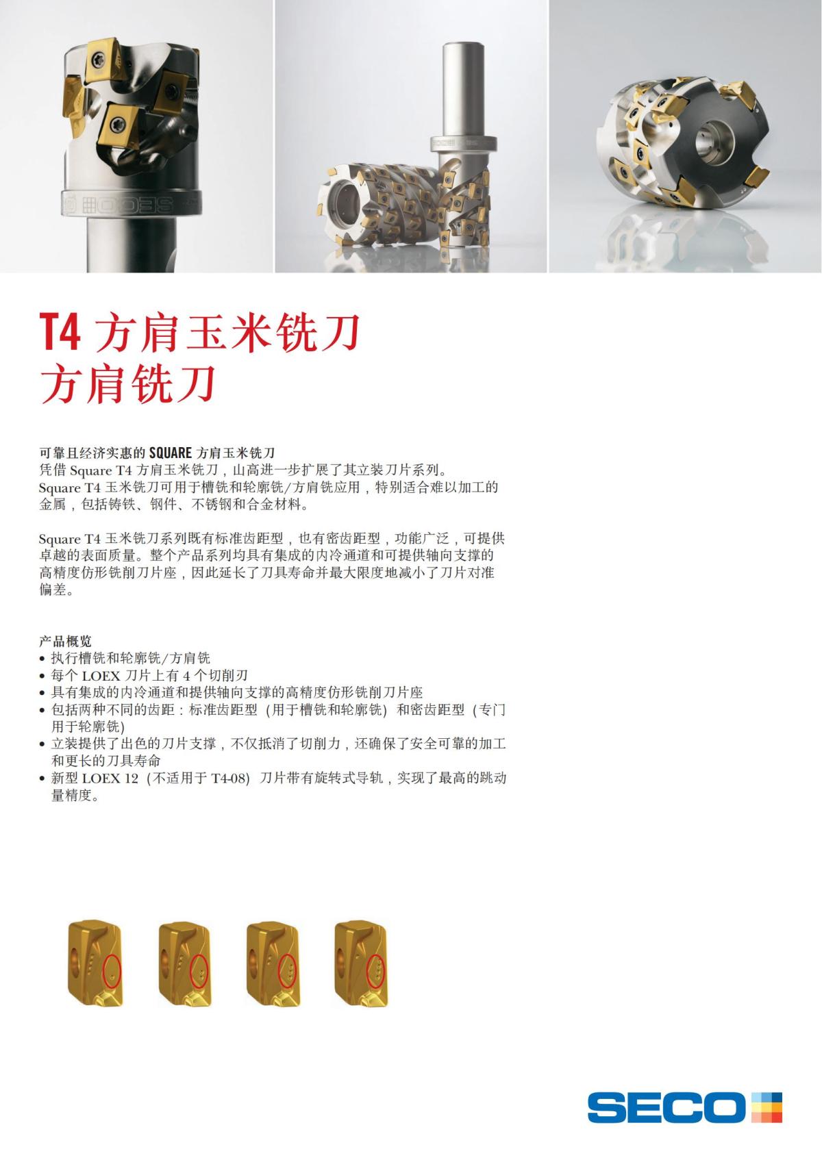 Square T4  (1)_06.jpg