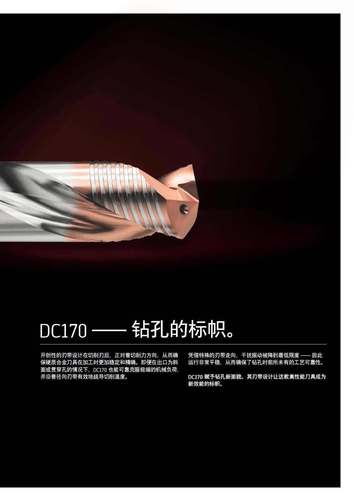 flyer-dc170-cn_02.jpg