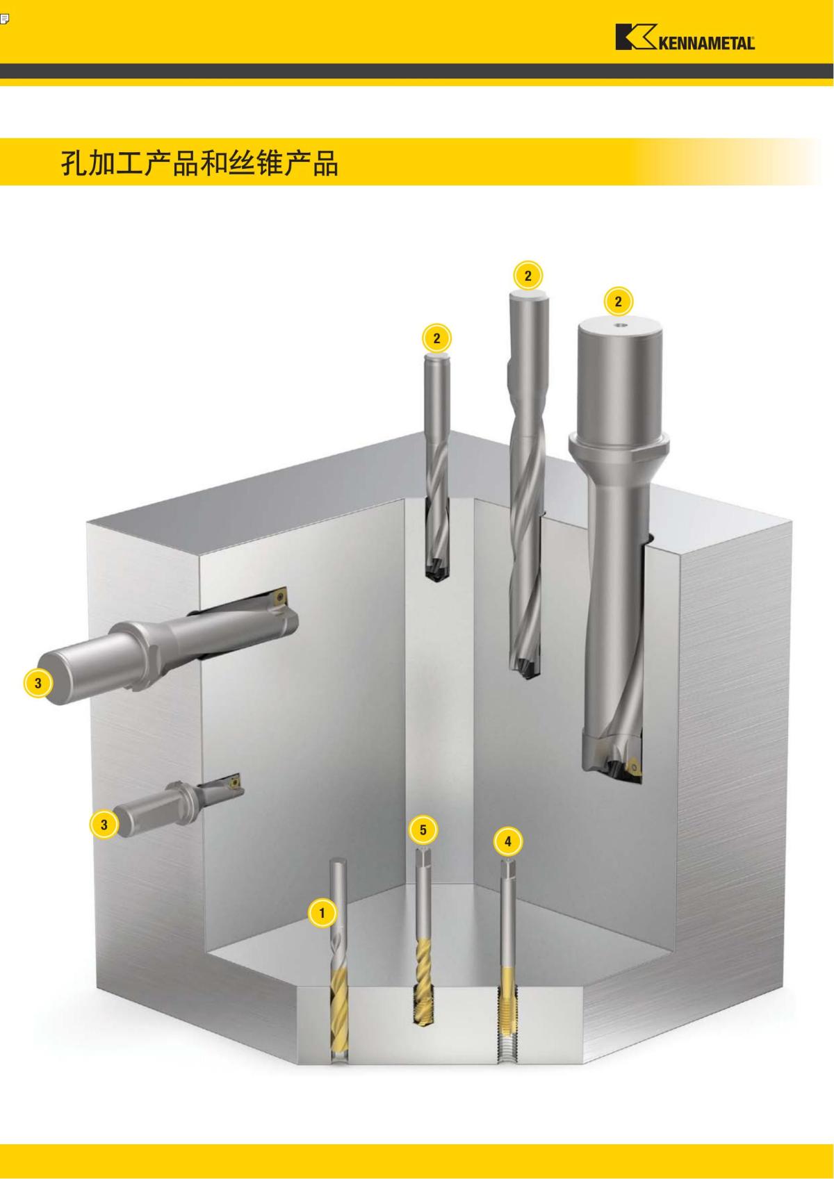 First Choice 中文_219.jpg