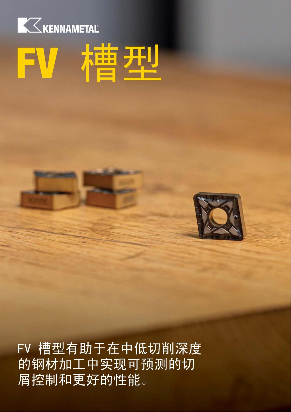 FV 槽型 中文_00.jpg