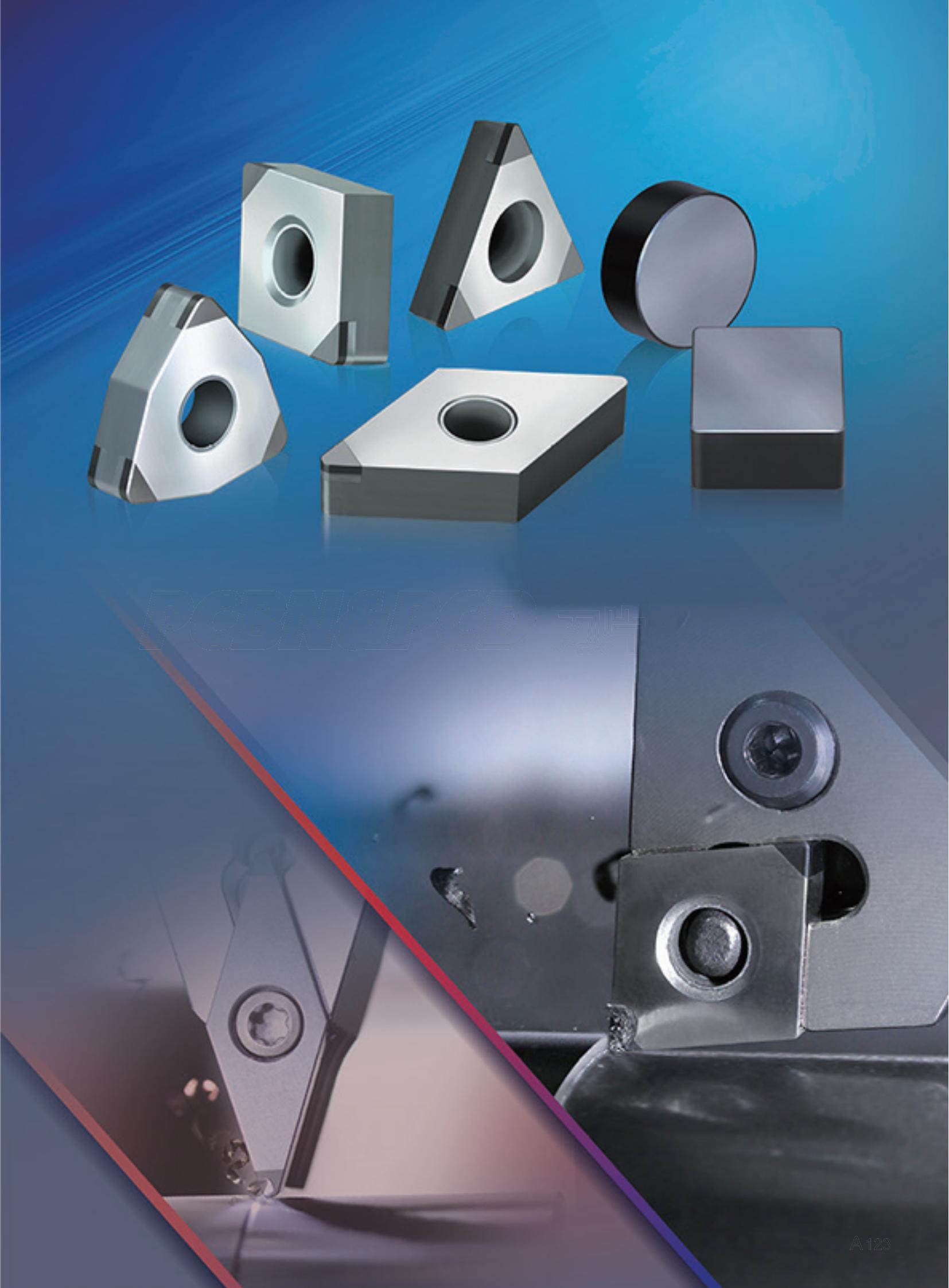 株洲钻石   PCBN 车刀片2023-2024