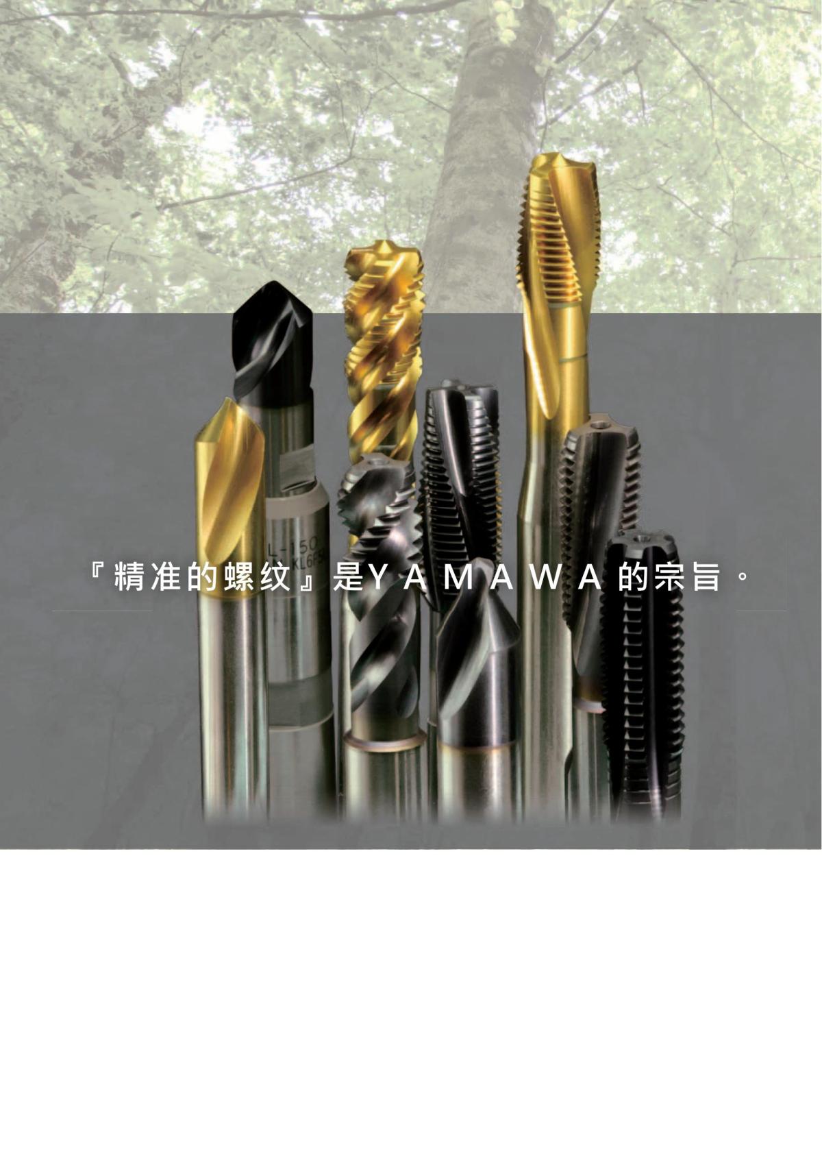YAMAWA 精准的螺纹_01.jpg