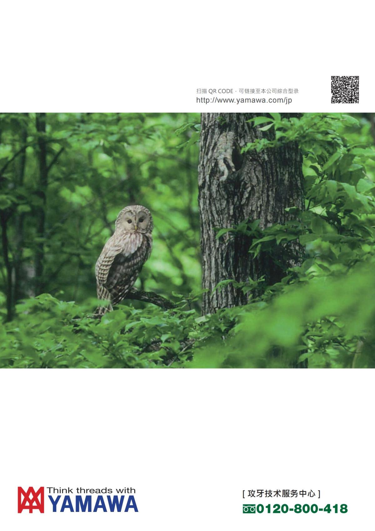 YAMAWA 精准的螺纹_915.jpg