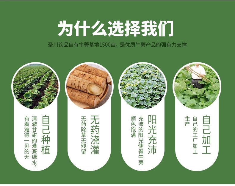 150克黄金牛蒡茶详情 (9).jpg