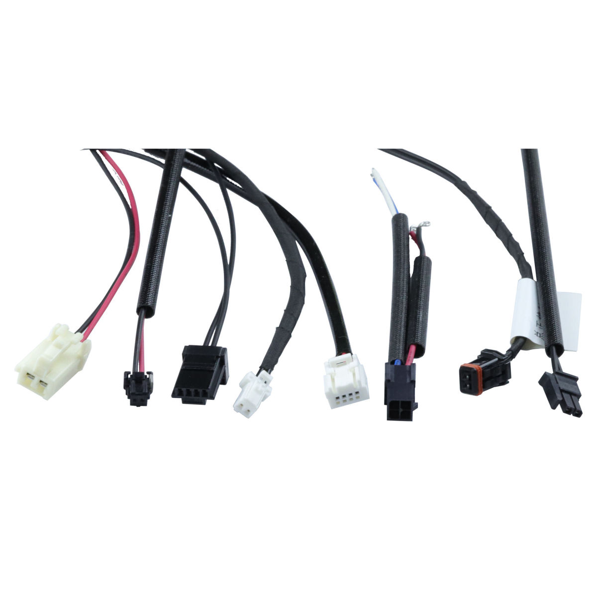 IMG_1992.jpg