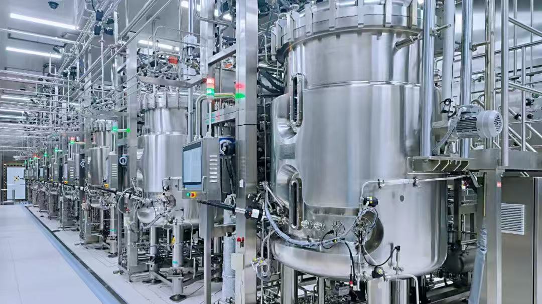 微信图片_20250611100504