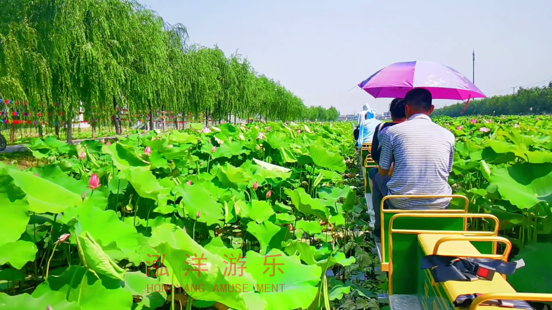 江苏省南通市如皋市荷塘月色
