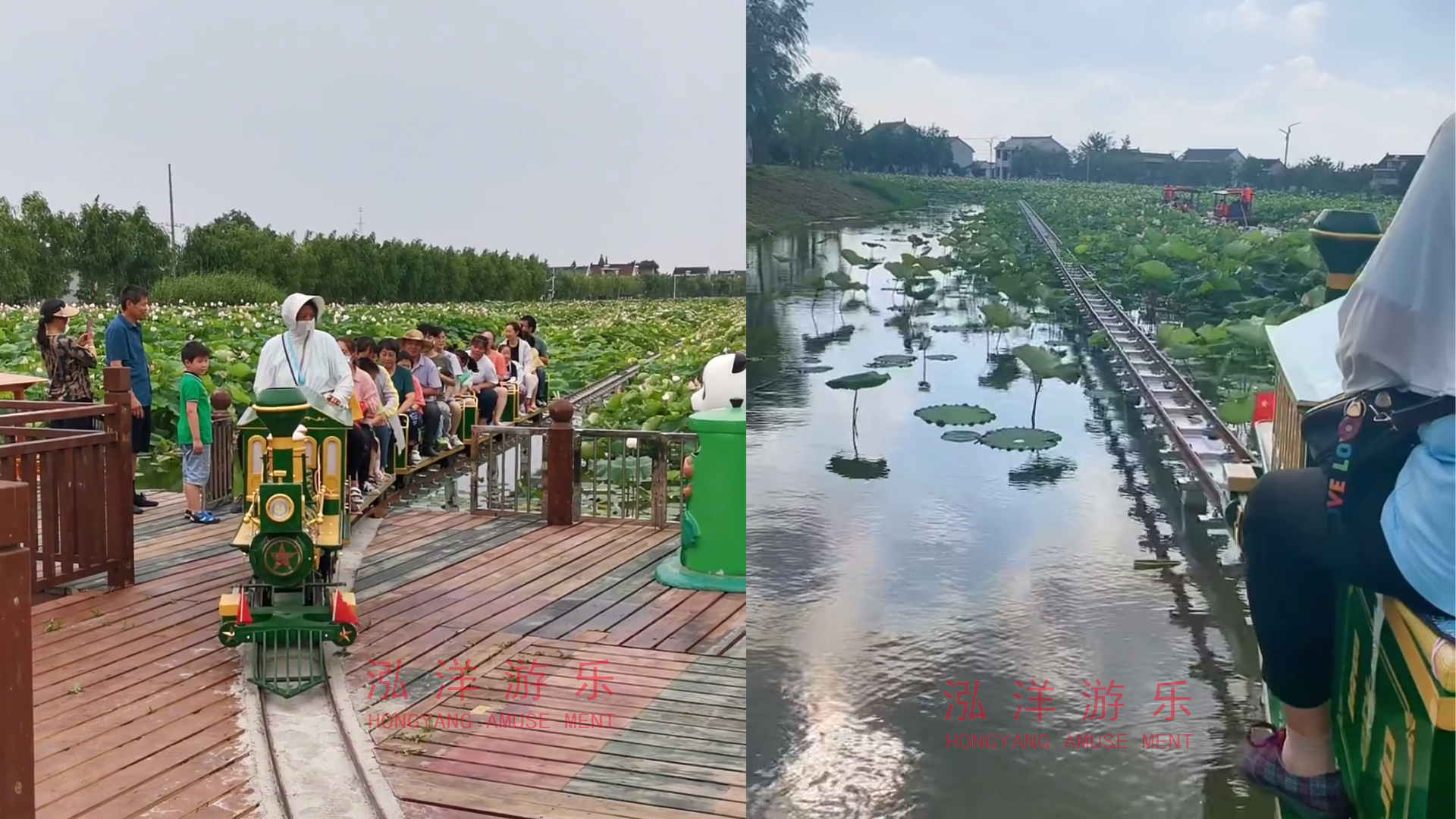 江苏省南通市如皋市荷塘月色