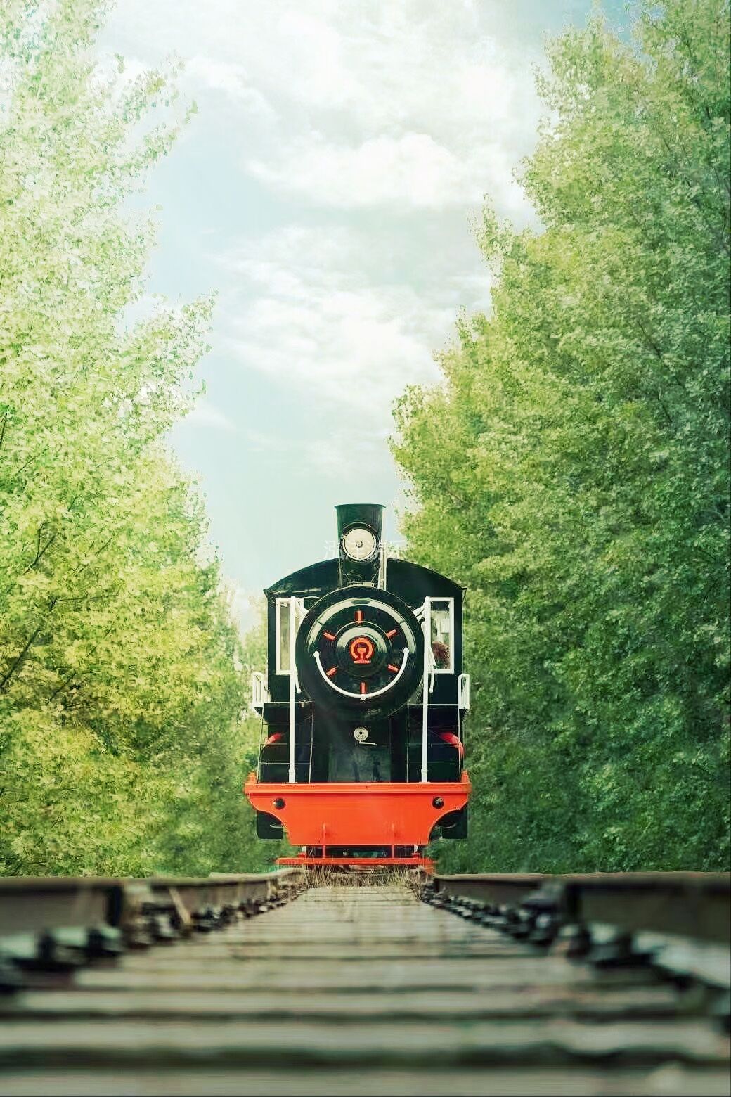 仿古蒸汽观光小火车