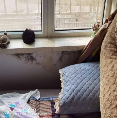 关于项目小业主反映室内墙体发黑问题的处理