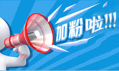 公司在旅游加粉项目中取得阶段性胜利：成本仅为3美元！