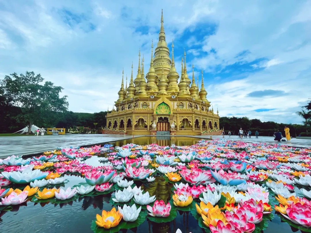 1739758491749935229961662464.png 1739758491749935229961662464.png