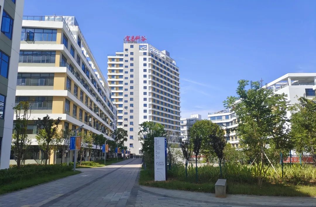 无迷彩不青春---2022级新生军训风采展示