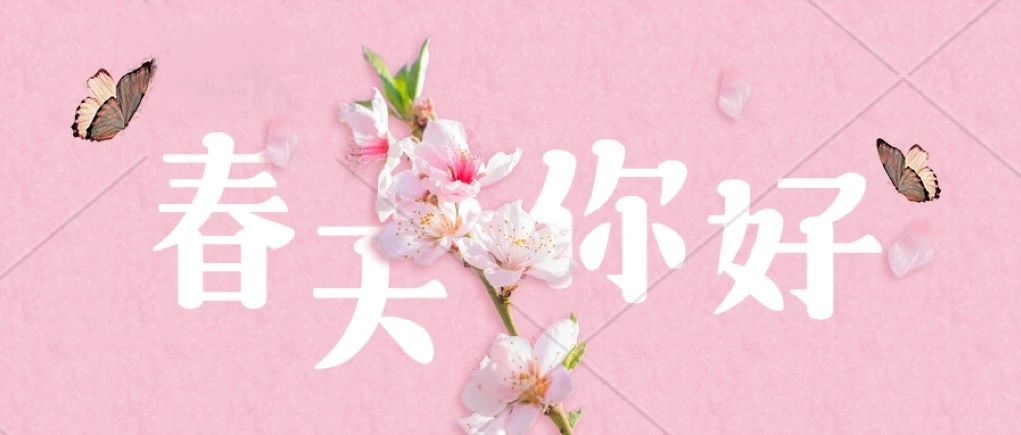 你若写春天，就不能只写春天——科谷幼教班课堂活动