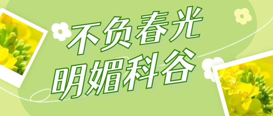 曲直方圆，科谷几何之美等你发现！