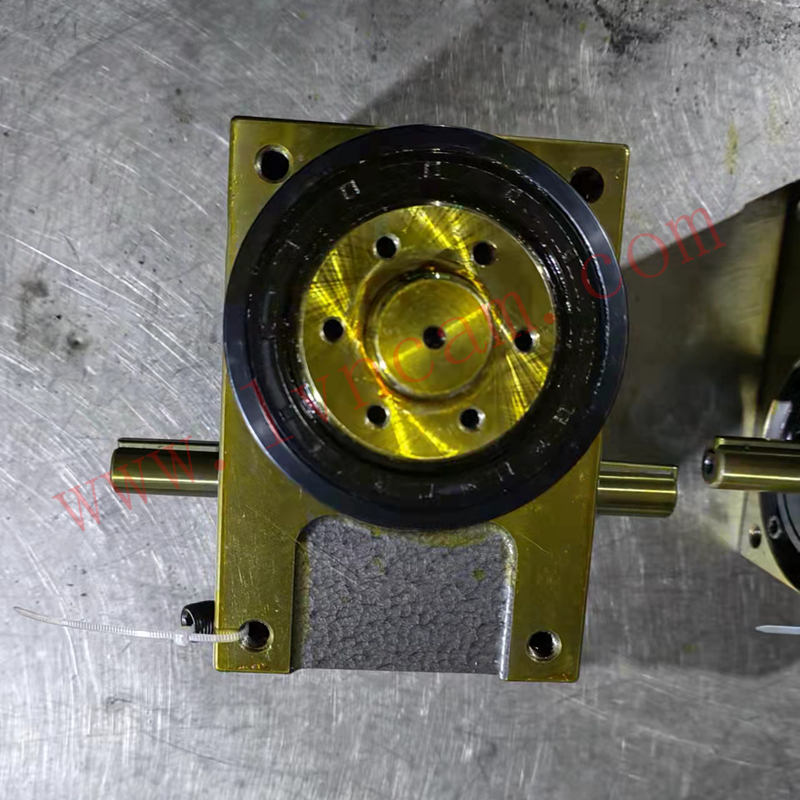 L60DF-6-LN002 法兰型凸轮分割器 六工位