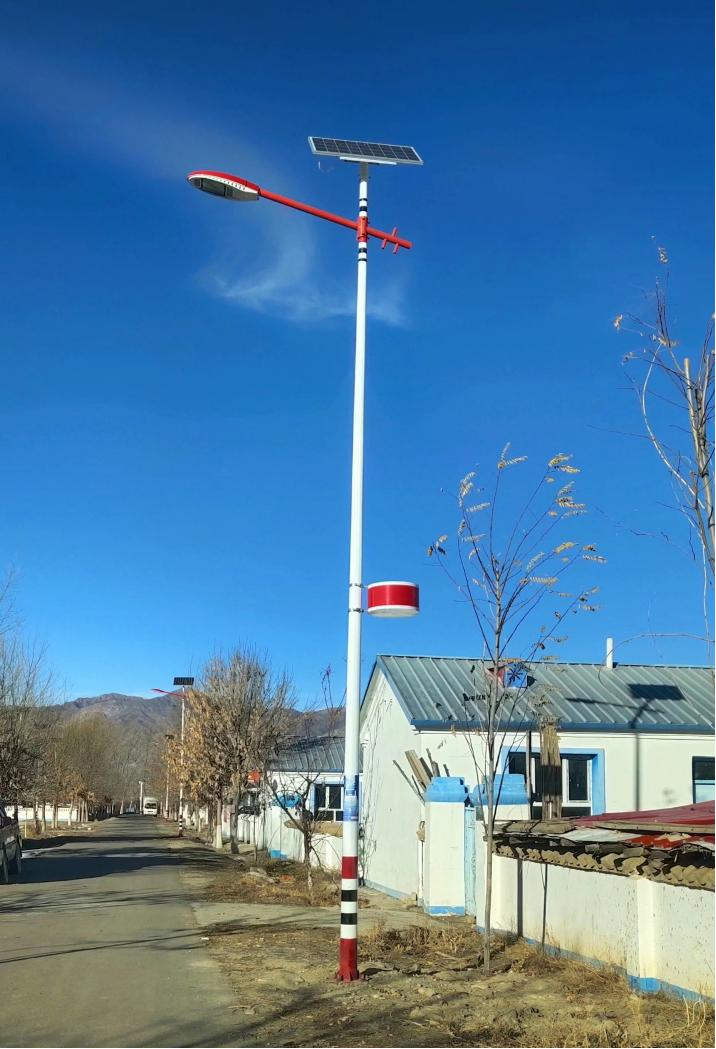 新疆伊犁尼勒克縣新農(nóng)村特色路燈