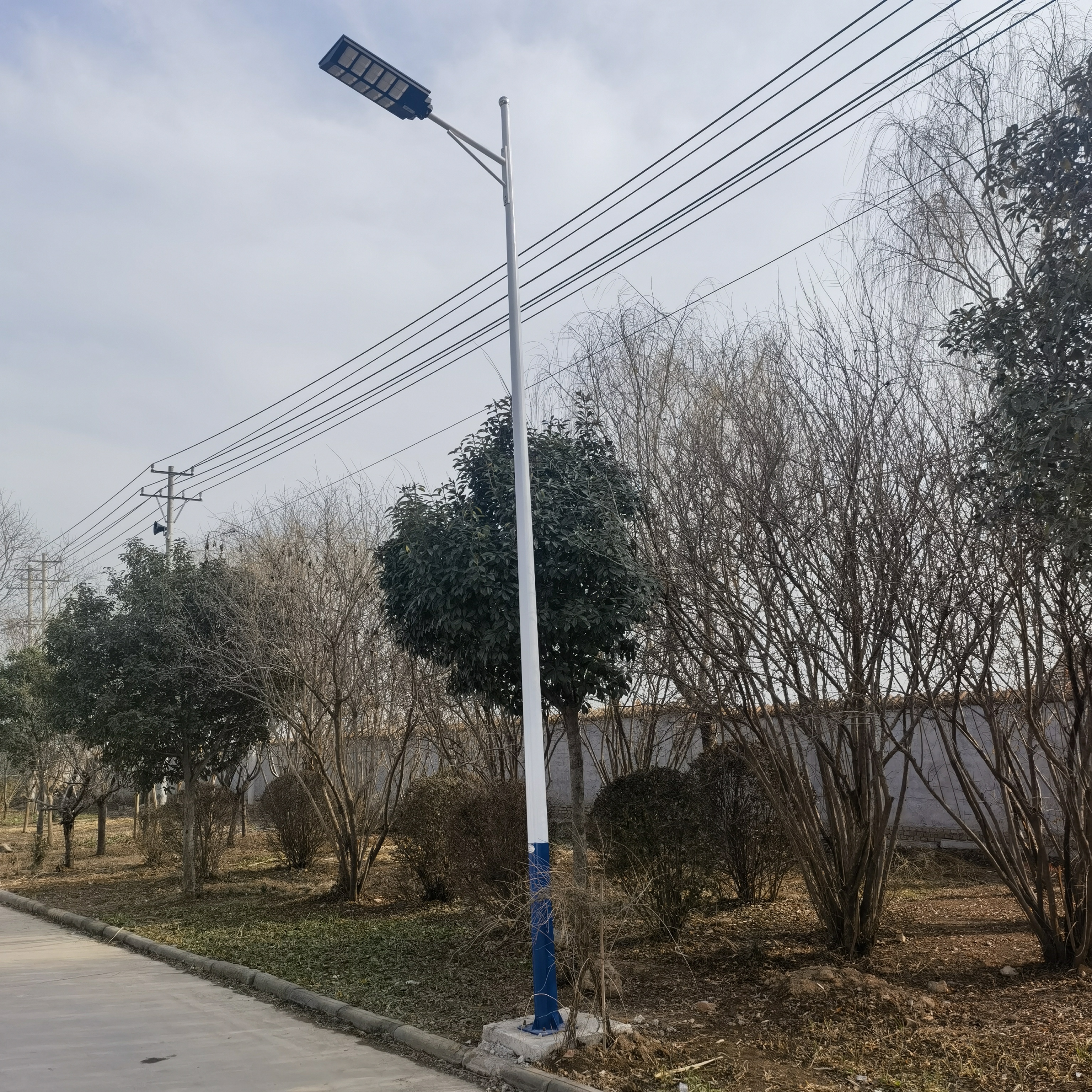 路燈 路燈