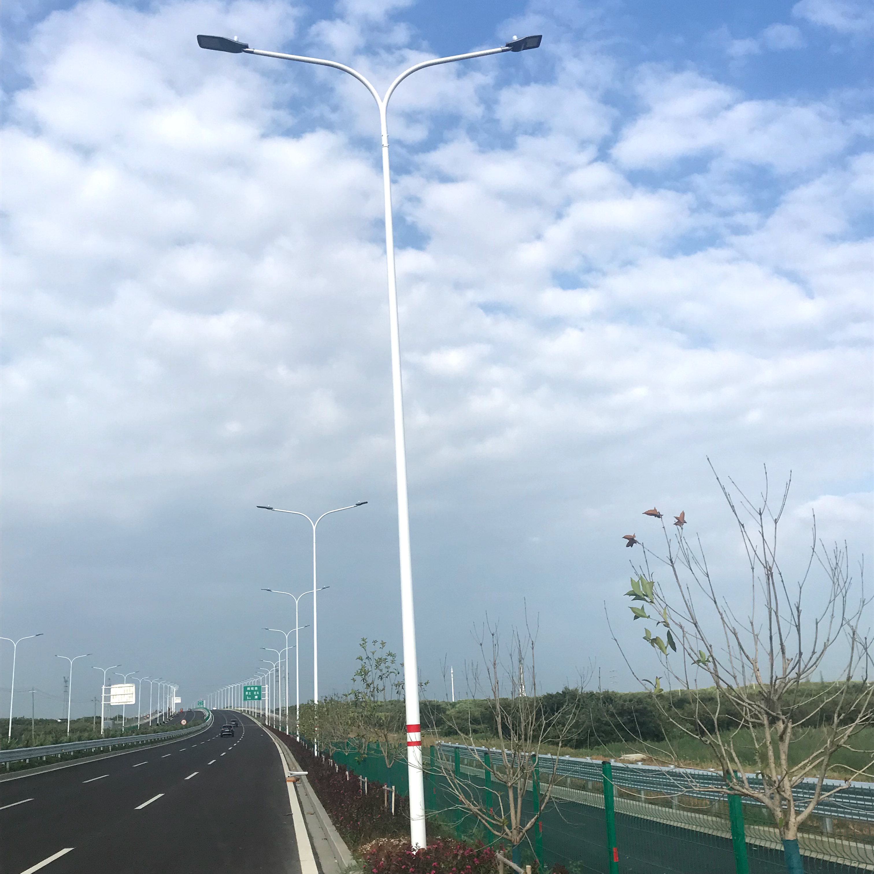 路燈 路燈